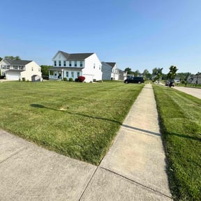 yard care by Abney's lawncare reviewed on August 21, 2025