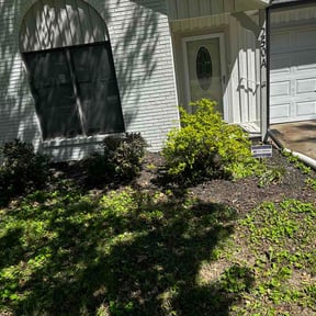 Leaf Removal by Positive Landscaping reviewed on July 18, 2026