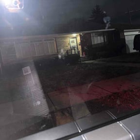 Leaf Removal by Hunter’s Lawn Care! reviewed on March 29, 2026