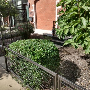 Bush Trimming by Terminus Lawn Care reviewed on August 18, 2025