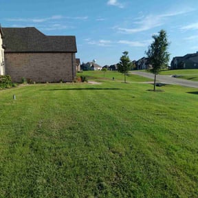 landscape maintenance by Paint N’at reviewed on August 17, 2025