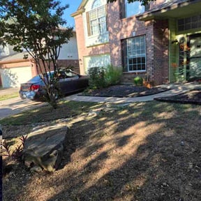 Bush Trimming by Z Pro Quality Enterprises reviewed on November 10, 2025