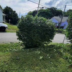 Bush Trimming by Crowder's lawn care reviewed on August 15, 2025