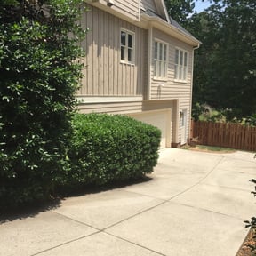 Bush Trimming by CW Unlimited Enterprise LLC reviewed on August 16, 2025