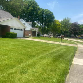 landscaping services by Lawn Care & Services reviewed on August 17, 2025