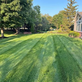 landscaping by Hoot PM Inc reviewed on August 21, 2025