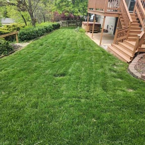 yard care by BMH Lawncare and Service's reviewed on August 21, 2025