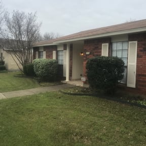 Bush Trimming by Gio Landscaping reviewed on August 21, 2025
