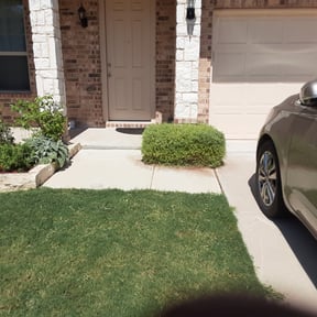 Bush Trimming by Kenosha Lawn Care reviewed on August 19, 2025