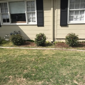Bush Trimming by Real deal landscaping reviewed on August 18, 2025