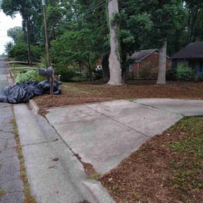 Leaf Removal by 66landscaping LLC reviewed on July 10, 2026