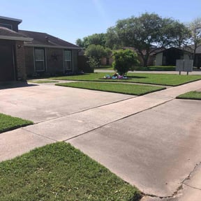 landscaping by NMH Renovations&amp;landscaping LLC reviewed on August 19, 2025