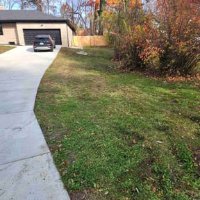 Leaf Removal by ShortBoi Contracting reviewed on November 22, 2025