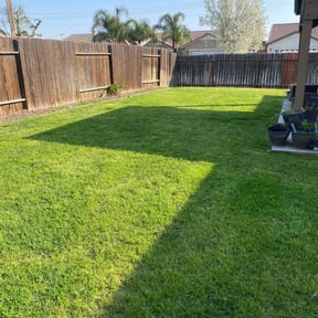 yard maintenance by Lawn Mow Bros reviewed on September 13, 2023