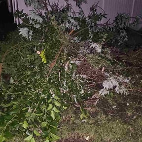 Leaf Removal by C&amp;J Lawn Care reviewed on September 17, 2025