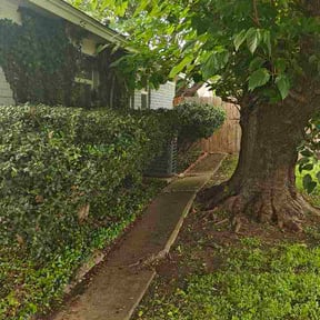 Bush Trimming by Kr lawncare reviewed on April 28, 2026