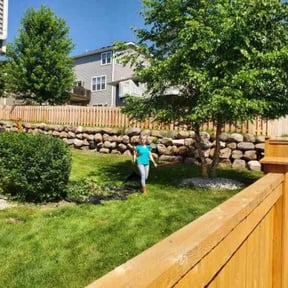 Bush Trimming by Clark and son lawn care reviewed on August 21, 2025