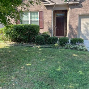 grass maintenance by CMAssociation reviewed on June 5, 2025