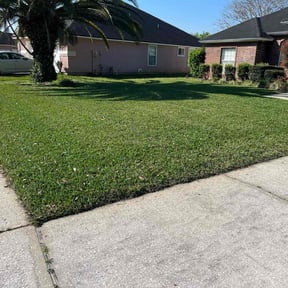 lawn care by K&amp;T Landscape reviewed on May 10, 2024