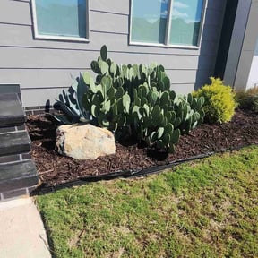 Mulching by Swiftcutz reviewed on November 22, 2025