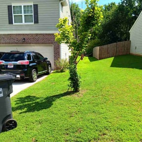 landscaping by Cavender Landscaping reviewed on August 18, 2025