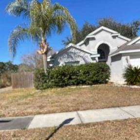 Bush Trimming by Kats Kutz reviewed on February 11, 2026