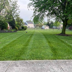 residential landscaping by AYS Lawncare reviewed on August 15, 2025