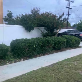 Bush Trimming by 8 flag cuts reviewed on November 24, 2025