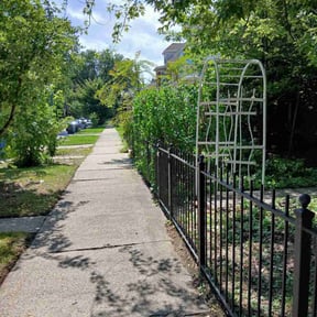 Bush Trimming by Patrick Stephan - Handyman reviewed on November 28, 2025