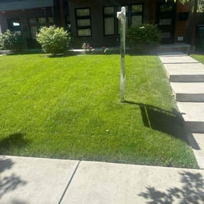 landscaping by Tri-county properties & maintenance reviewed on August 15, 2025