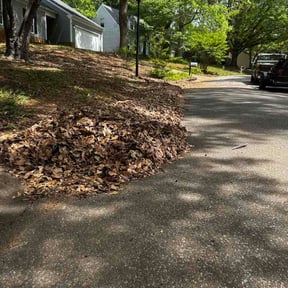 Leaf Removal by Central Valley Yard Services reviewed on May 9, 2026