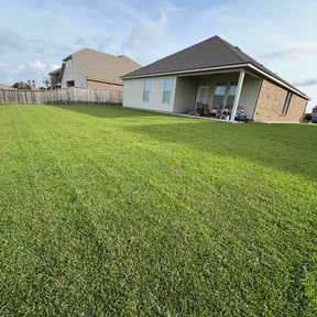 yard service by E & J Lawnz reviewed on August 17, 2025