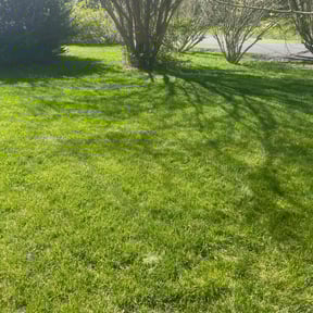 yard maintenance by Greener Lawn Maintenance  reviewed on November 20, 2025