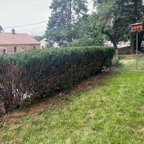 Bush Trimming by ValdiviasLandscape reviewed on August 17, 2025