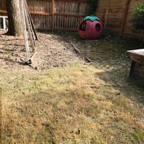Leaf Removal by Rmp residential services reviewed on August 20, 2025