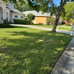 landscaping by Sky Landscape reviewed on August 16, 2025