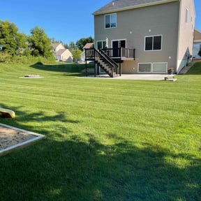 yard care by Stephen Reynolds reviewed on August 20, 2025