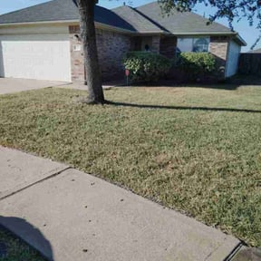 lawn care services by Yard Gnomes Lawn Care reviewed on March 13, 2024