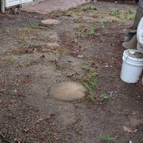 Leaf Removal by JJ&D Property Management reviewed on August 16, 2025