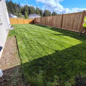 yard work by Whack Jobs reviewed on August 17, 2025