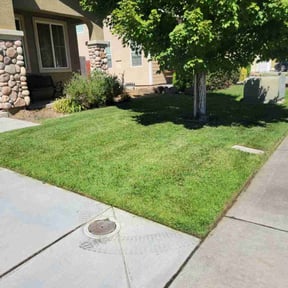 landscaping by My Dad Can reviewed on August 17, 2025