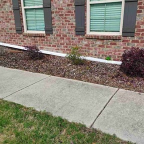 Bush Trimming by Sidekick reviewed on May 2, 2026
