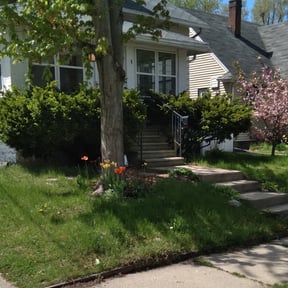 Bush Trimming by Elite Lawn Care reviewed on August 20, 2025