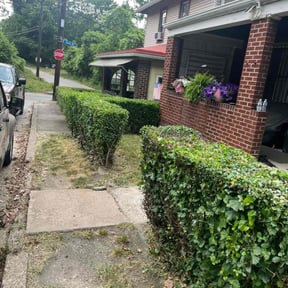 Bush Trimming by A-One Lawn Service/Junk Removal reviewed on August 21, 2025