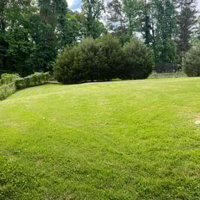 turf maintenance by DMD LAWN SVC reviewed on August 17, 2025