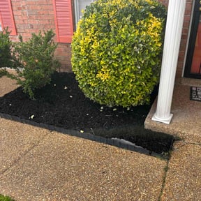 Mulching by Aspen Services reviewed on August 18, 2025