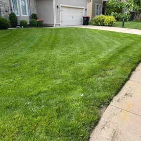 yard maintenance by Toms lawn care reviewed on August 18, 2025