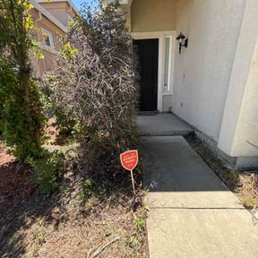 Bush Trimming by Revamp Solutions reviewed on May 24, 2026