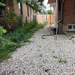 Bush Trimming by 66landscaping.com reviewed on November 19, 2025