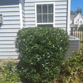 lawn care by Hillscapes reviewed on April 2, 2024